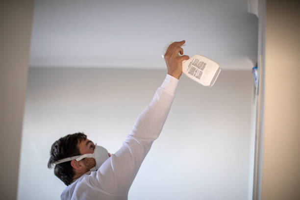 Best Crawl Space Mold Removal  in Chleston, AR