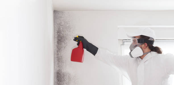 Best Crawl Space Mold Removal  in Chleston, AR