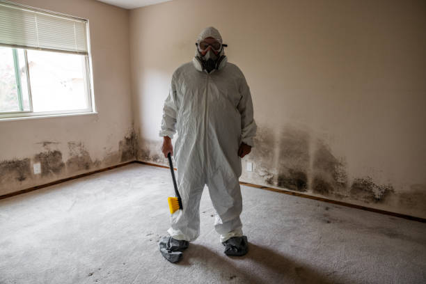 Best Mold Inspection  in Chleston, AR